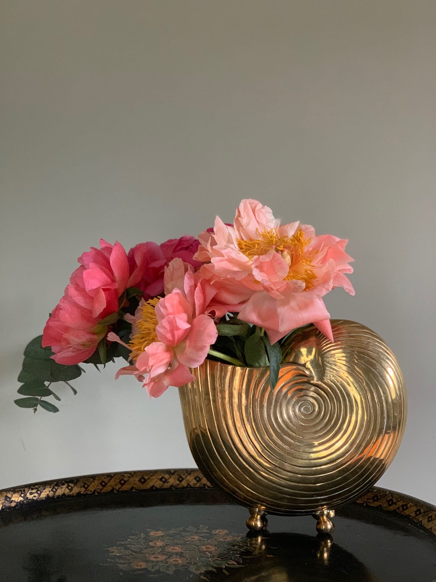Large Brass Nautilus shell, 1970s – Sold – The Oscar Collective
