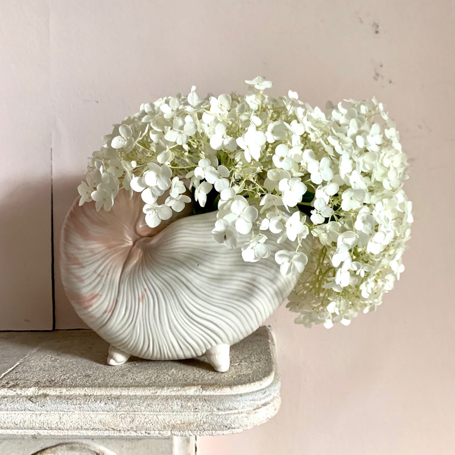 Small Fitz & Floyd Nautilus Shell Planter – SOLD – The Oscar